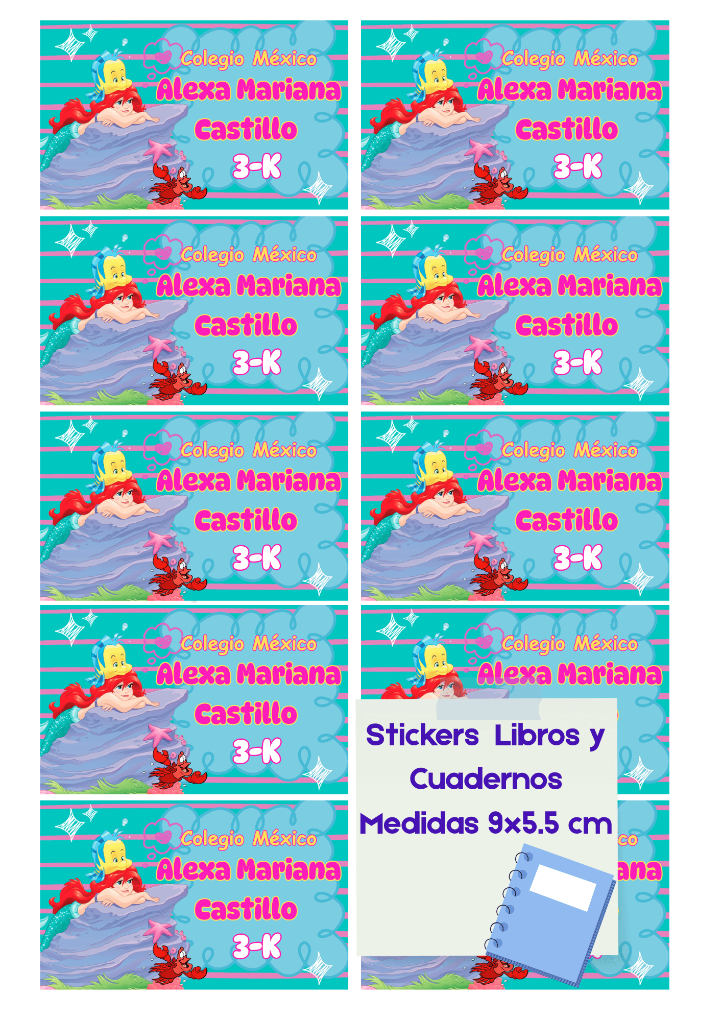 Etiquetas Escolares Paquete 2 (65 Stickers)